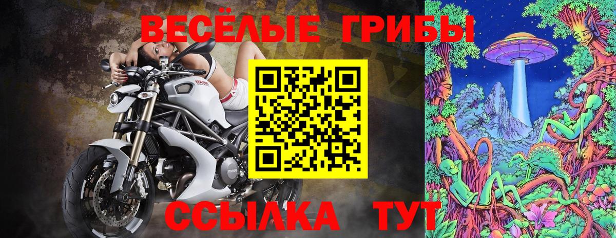 Галлюциногенные грибы прущие грибы Краснознаменск